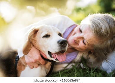 Senior Woman With Dog In Spring Nature, Resting.