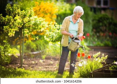 Senior woman doing some gardening in her lovely garden - watering the plants - Powered by Shutterstock