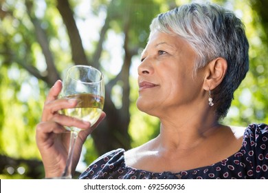 Senior Woman Drinking Wine At The Park