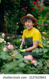 Senior Woman Gardener In A Hat Working In Her Yard With Work Tools. The Concept Of Gardening, Growing And Caring For Flowers And Plants.