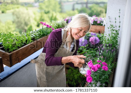 Similar – Alter Garten Frühling