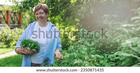 Senior woman is gardening on beautiful sunny day. Banner