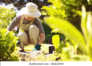 Senior woman with gardening tool working in her backyard garden