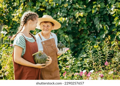 Senior woman and granddaughter picking zucchini vegetable on farm. - Powered by Shutterstock