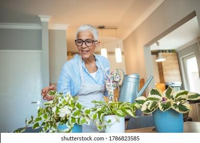 Senior Woman With Green Plants And Flowers At Home. Woman Caring For House Plant. Woman Taking Care Of Plants At Her Home Portrait Of Elderly Woman Gardening At Home. Retired Female Care For Her Plant