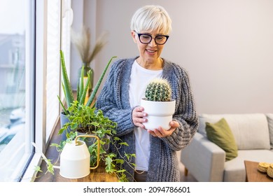 Senior Woman With Green Plants And Flowers At Home. Woman Caring For House Plant. Woman Taking Care Of Plants At Her Home Portrait Of Elderly Woman Gardening At Home. Retired Female Care For Her Plant