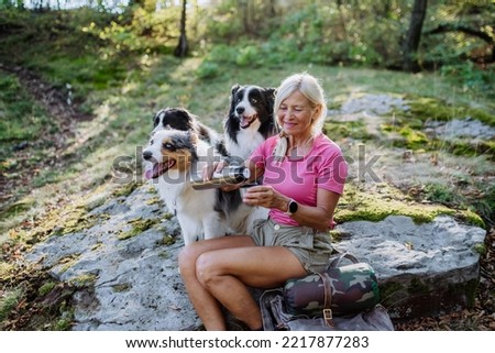 Similar – Image, Stock Photo Blond woman with her two dogs in the countryside