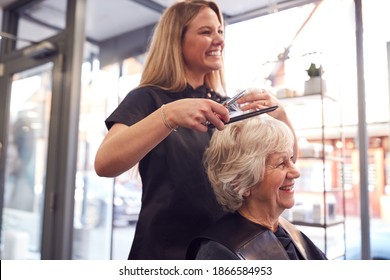 Senior Woman Having Hair Cut By Female Stylist In Hairdressing Salon