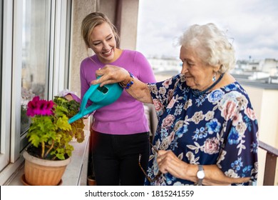 Senior woman and her adult granddaughter watering plants on the balcony
