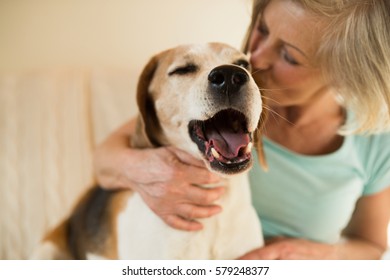 Senior woman with her dog at home relaxing