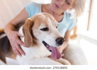 Senior Woman With Her Dog Inside Of Her House.