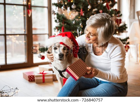 Senior woman with her dog opening Christmas presents. Stock photo © 