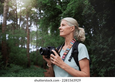 Senior woman, hiking and photography with camera in forest, nature or environment. Female hiker, tourist and travel photographer on trekking adventure, sightseeing journey or explore scenery in woods - Powered by Shutterstock