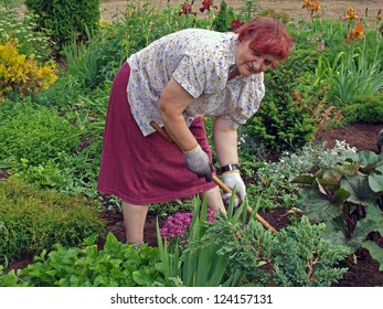 Senior Woman With Hoe Weeding The Flower Bed