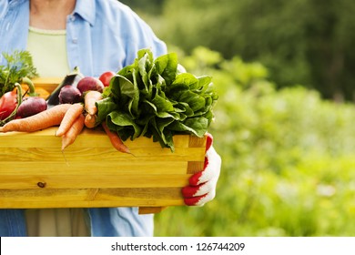 Senior woman holding box with vegetables - Shutterstock ID 126744209