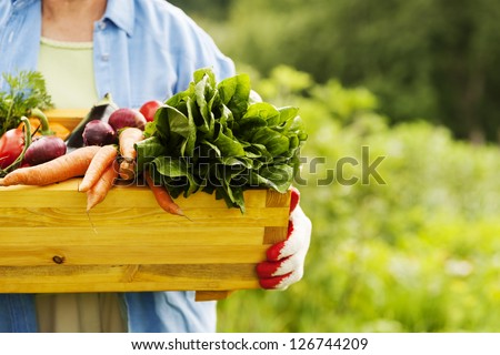 Senior woman holding box with vegetables