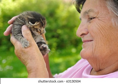 Senior woman holding little kitten