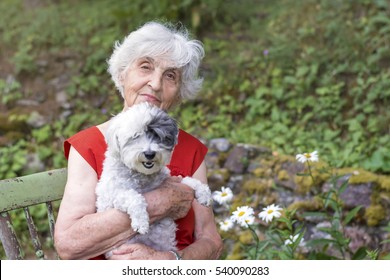 7,038 Women poodles Images, Stock Photos & Vectors | Shutterstock