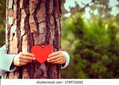 A senior woman hugging a tree trunk holding a red heart made of paper - love for outdoors and nature - earth's day concept. People save the planet from deforestation - Shutterstock ID 1749716582