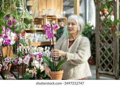 Senior woman inspects pot with houseplant orchid in store for amateur gardeners. Buyer reads name of flower on price tag. - Powered by Shutterstock