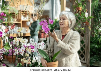 Senior woman inspects pot with houseplant orchid in store for amateur gardeners. Buyer reads name of flower on price tag. - Powered by Shutterstock