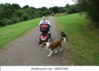 Senior Woman On Mobility Scooter With Collie