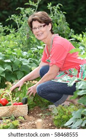 Senior Woman Picking Vegetables In Kitchen Garden