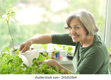 Senior Woman Planting Green Sprouts At Home