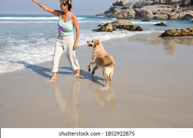 Senior woman playing with her Labrador retriever dog on the beach on a bright, sunny day - Powered by Shutterstock