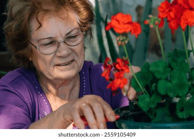 senior woman pruning and caring for plants in the garden or orchard - Powered by Shutterstock