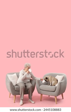 Senior woman with pug dog in armchairs drinking tea on pink background