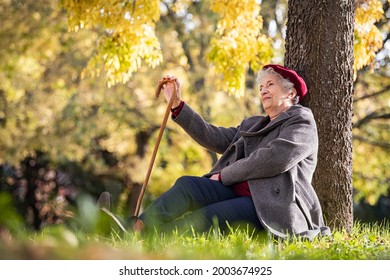 Senior woman relaxing under a tree in park. Thoughtful old woman wearing grey coat and red cap holding walking stick, sitting outdoor with copy space. Mature lady daydreaming in autumn park. - Powered by Shutterstock