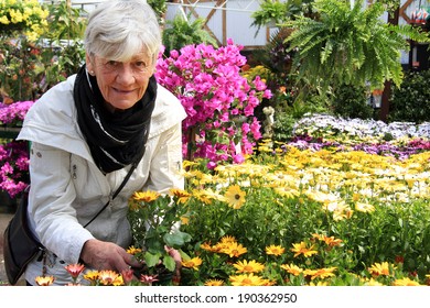 Senior woman shopping for annual flowers at a plant nursery.  - Powered by Shutterstock