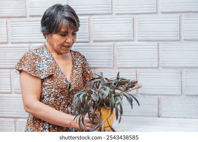 A senior woman with short hair wearing a floral dress tends to a potted plant with a joyful expression, enjoying her gardening hobby on a sunny day. - Powered by Shutterstock