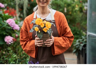 Senior Woman Is Standing At The Greenhouse And Feeling Great