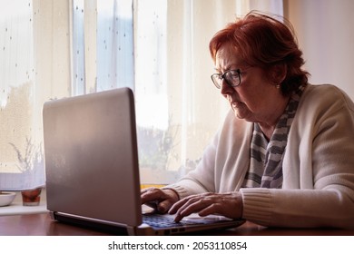 Senior woman surfing the net, reading e-mail or news online and browsing social media. Elderly people using laptop and internet for connection and communication