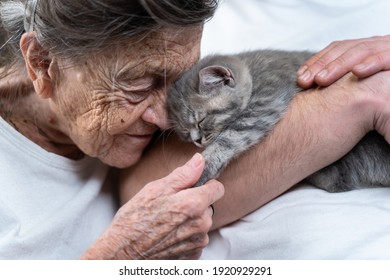 Senior woman tenderness, kisses cute gray Scottish Straight kitten on couch at nursing home with volunteer. Kitty therapy. Grandmother and adult grandson stroking, spending time together with pet.