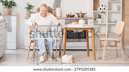 Senior woman using walker while sitting in cozy kitchen at home, active elderly mobility support, independent living, rehabilitation and domestic lifestyle with white cat