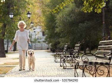 Senior Woman Walking With Dog In Park