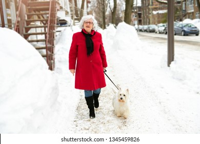 Senior woman Walking Dog Through Snowy street - Powered by Shutterstock