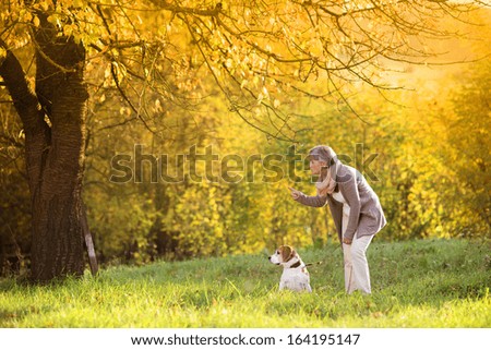 Similar – Image, Stock Photo walk Pet Dog 1 Animal Jump