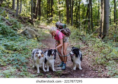 Senior Woman Walking With Her Three Dogs In Forest.