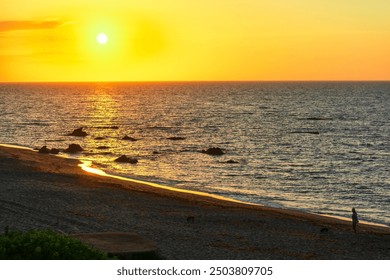 senior woman walks along the beach with her dogs, admiring the sunrise. - Powered by Shutterstock