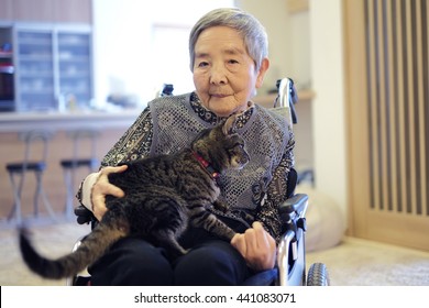 Senior Woman In A Wheelchair And Cat In The Room