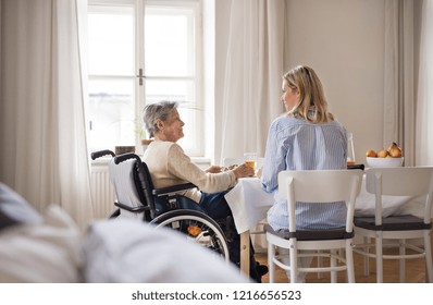 A senior woman in wheelchair with a health visitor sitting at the table at home. - Powered by Shutterstock