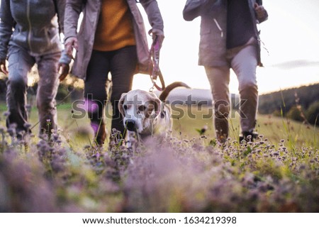 Similar – Image, Stock Photo female legs in front of blue garbage bag