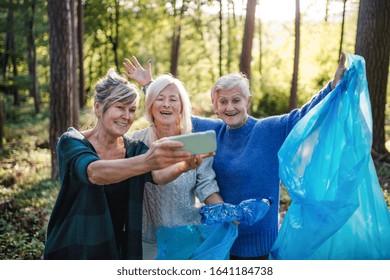 Senior Women Friends Picking Up Litter Outdoors In Forest, Taking Selfie.