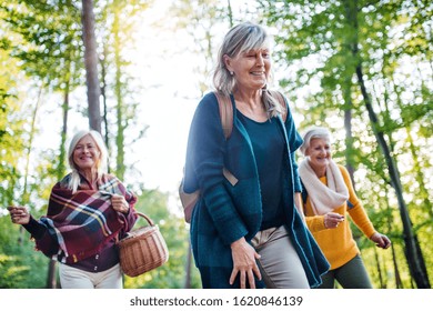 Senior Women Friends Walking Outdoors In Forest.