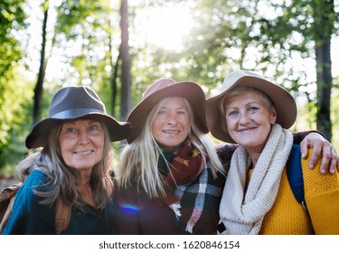 Senior Women Friends Walking Outdoors In Forest, Looking At Camera.