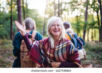 Senior Women Friends Walking Outdoors In Forest.